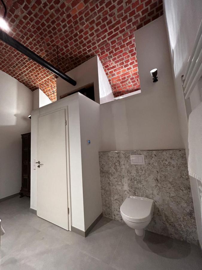 Historical Luxury Homes - Luxus Familien Suite Freiburg im Breisgau Exterior foto